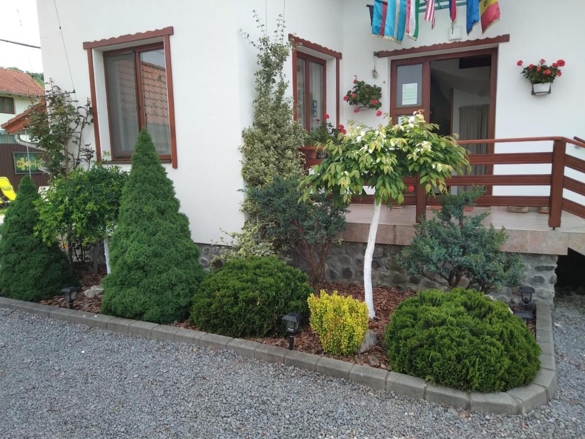 Raza Soarelui Apartment Sovata Exterior foto